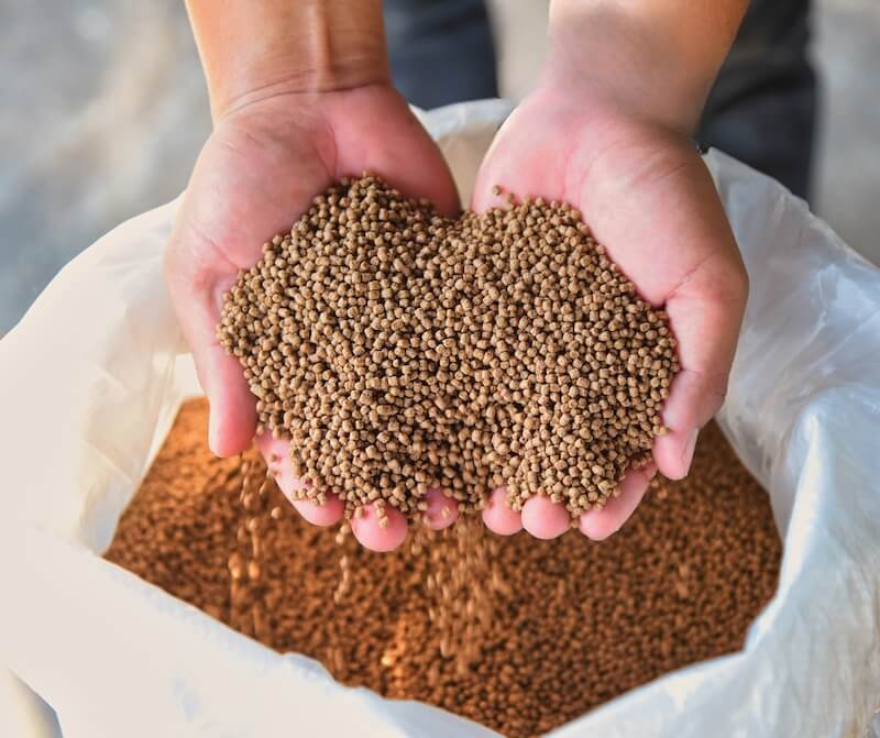 Animal Feed