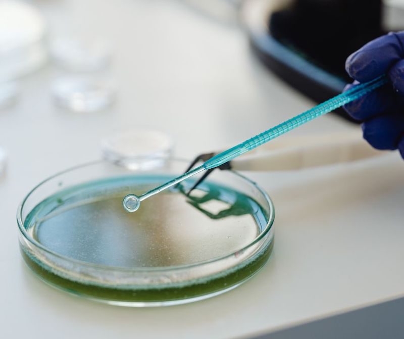 Biotech
