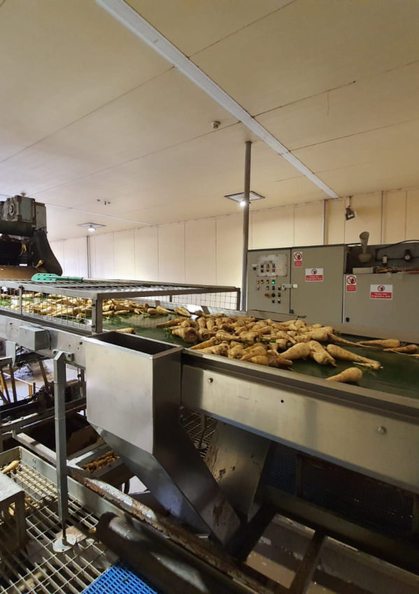 Process Instrument Solutions supplied and installed the Siemens Milltronics WD600 for a vegetable packing plant in East Anglia.