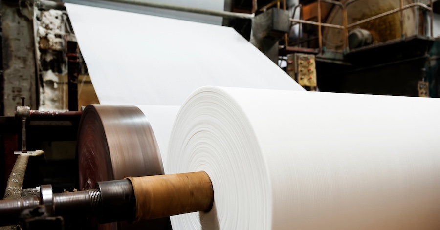 Pulp & Paper